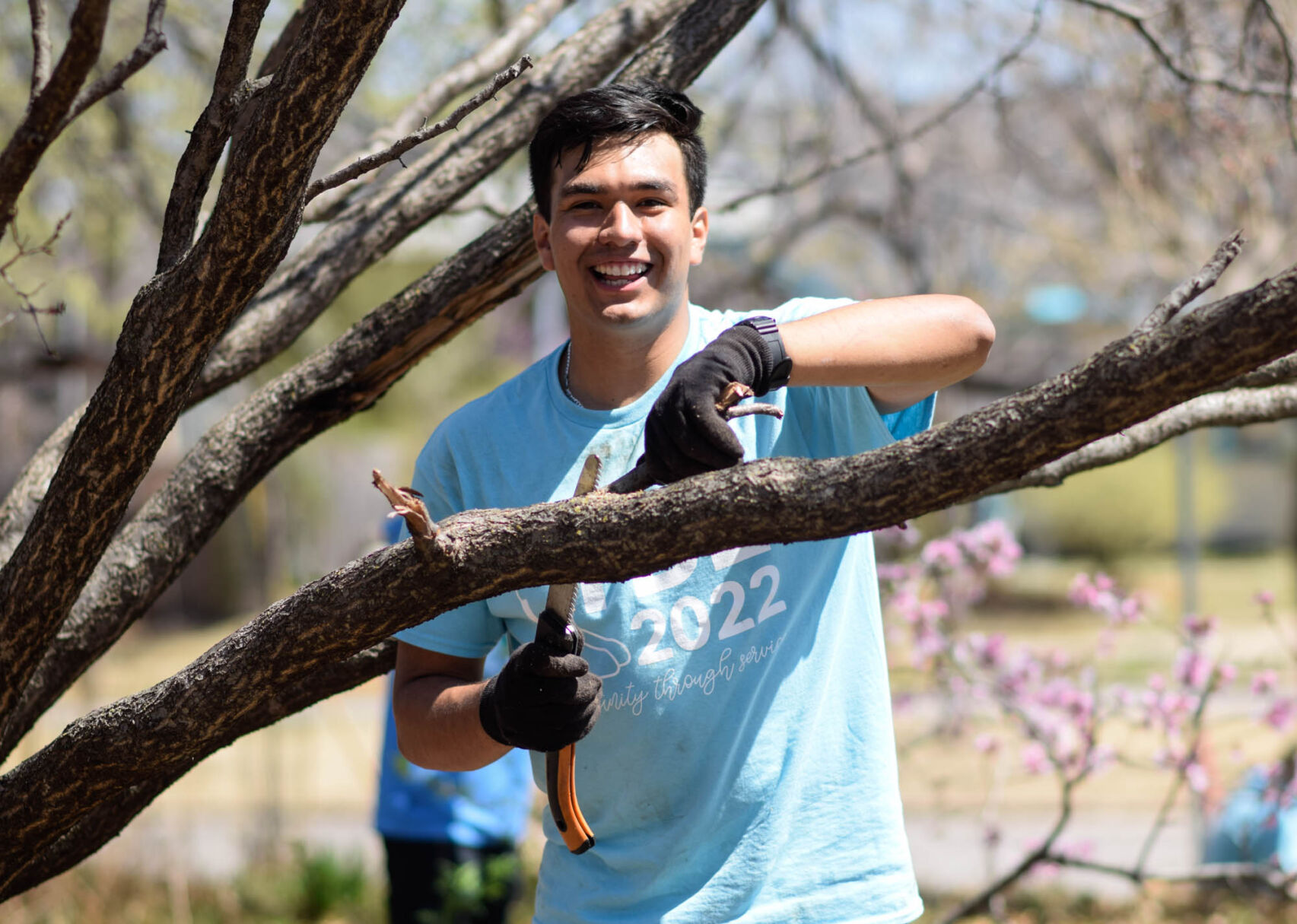 Trimming branches